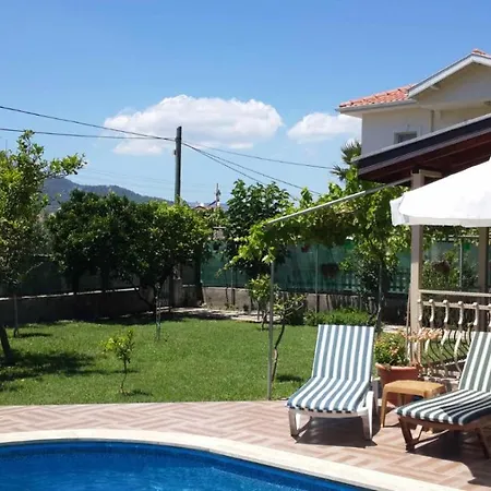 Arel - Dalyan *