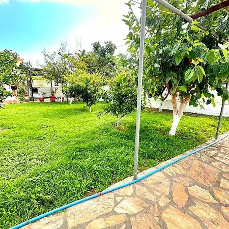 Arel - Dalyan